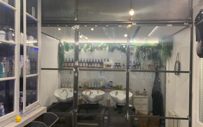 Puertas interior (4)